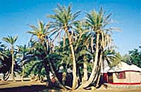 Strohhuette